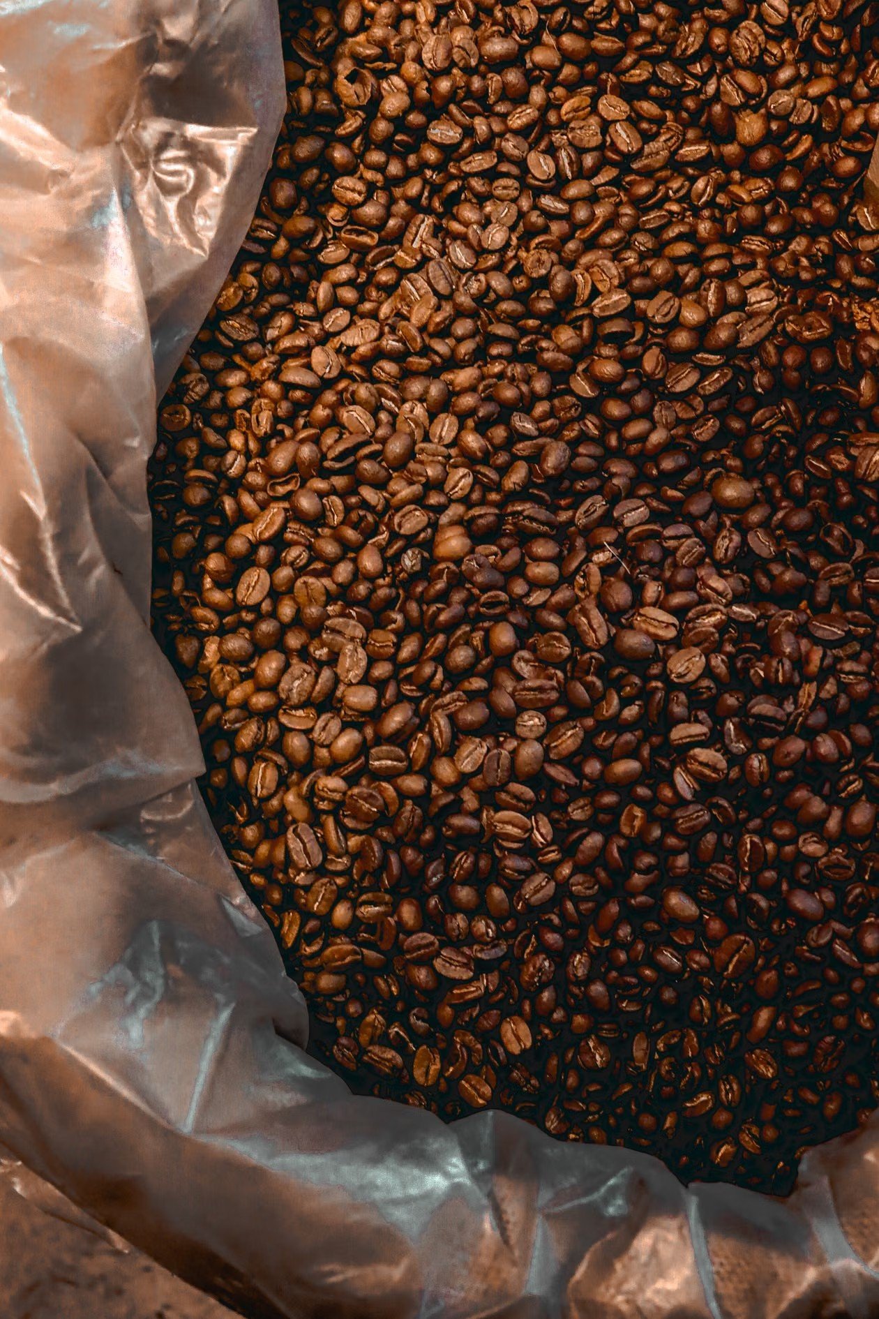 Roasted coffee beans close-up